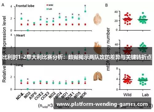 比利时1-2意大利比赛分析：数据揭示两队攻防差异与关键转折点
