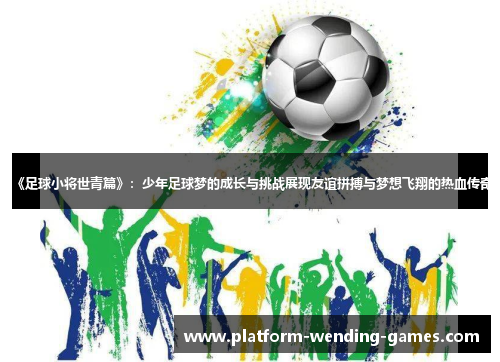 《足球小将世青篇》：少年足球梦的成长与挑战展现友谊拼搏与梦想飞翔的热血传奇