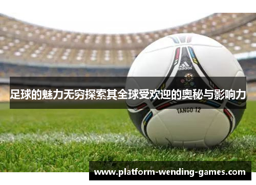 足球的魅力无穷探索其全球受欢迎的奥秘与影响力