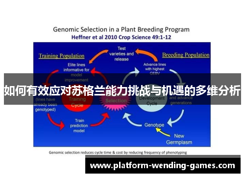 如何有效应对苏格兰能力挑战与机遇的多维分析