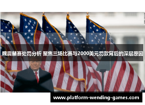 魏震禁赛处罚分析 聚焦三场比赛与2000美元罚款背后的深层原因
