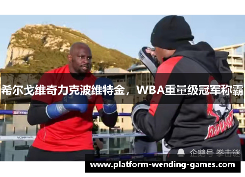 希尔戈维奇力克波维特金，WBA重量级冠军称霸