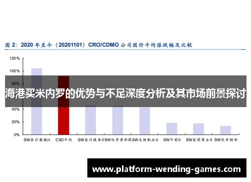 海港买米内罗的优势与不足深度分析及其市场前景探讨