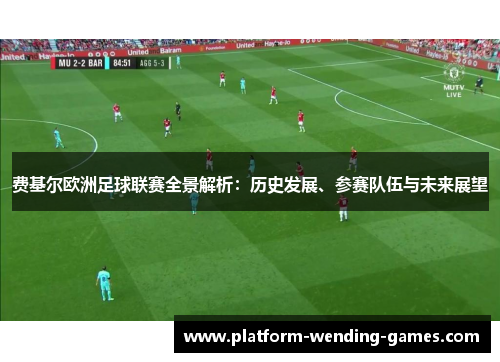 费基尔欧洲足球联赛全景解析：历史发展、参赛队伍与未来展望