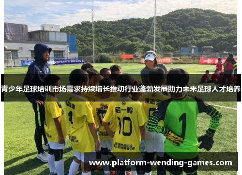 青少年足球培训市场需求持续增长推动行业蓬勃发展助力未来足球人才培养